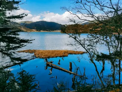 77spins Kazino Mobilioji programa